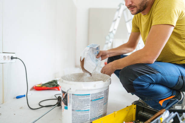 Best Basement Mold Removal  in Ranlo, NC