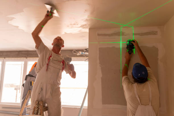 Best Mold Removal for HVAC Installations  in Ranlo, NC